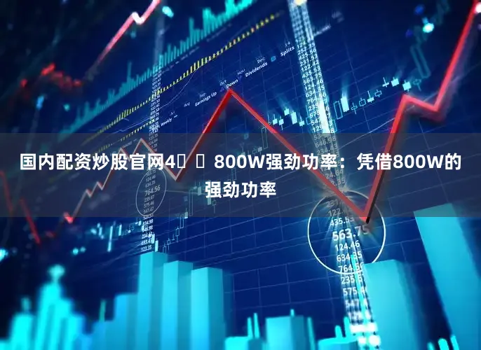 国内配资炒股官网4️⃣800W强劲功率：凭借800W的强劲功率