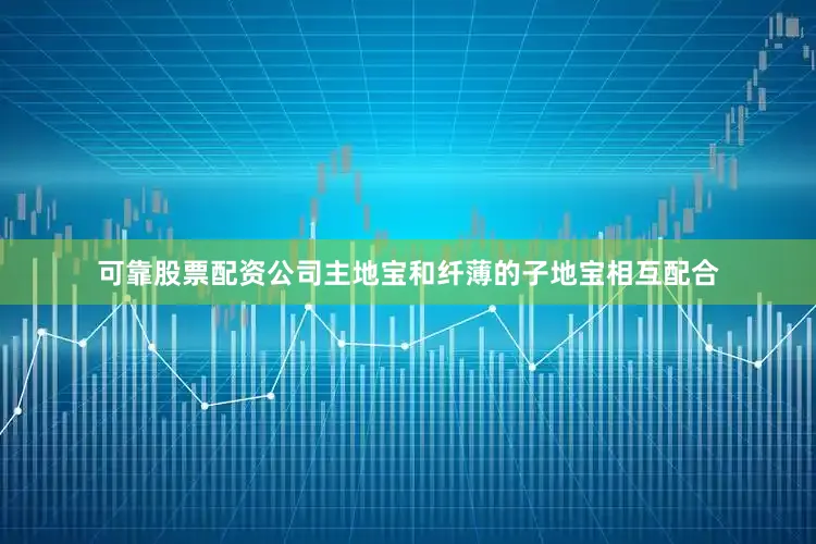可靠股票配资公司主地宝和纤薄的子地宝相互配合