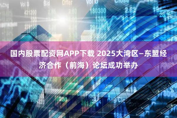 国内股票配资网APP下载 2025大湾区—东盟经济合作（前海）论坛成功举办