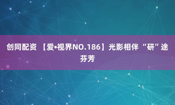 创同配资 【爱•视界NO.186】光影相伴 “研”途芬芳