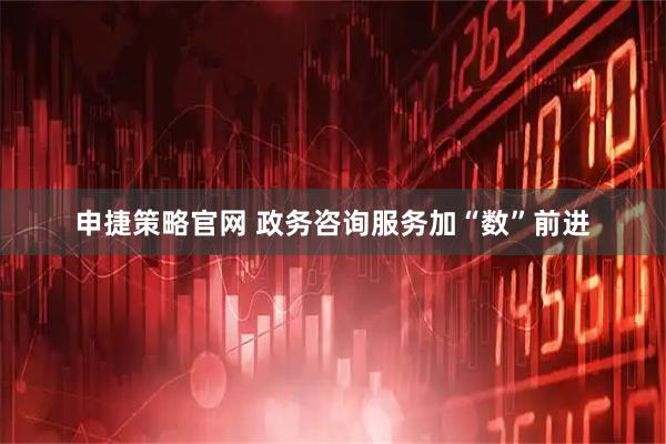 申捷策略官网 政务咨询服务加“数”前进